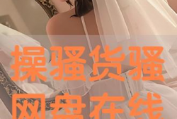 操骚货视频,揭秘网络恶俗现象背后的真相