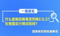 国产精品视频在线网站,在线网站带你领略国货魅力