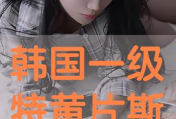 韩国一级毛片视频,背后真相与争议