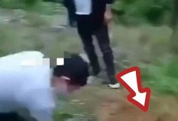 残忍视频,残忍视频背后的残酷现实