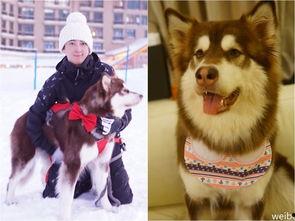 香香公主和爱犬吃瓜爆料,娱乐圈幕后真相曝光